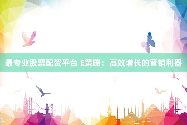 最专业股票配资平台 E策略：高效增长的营销利器