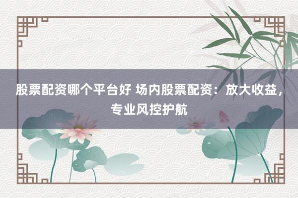股票配资哪个平台好 场内股票配资：放大收益，专业风控护航