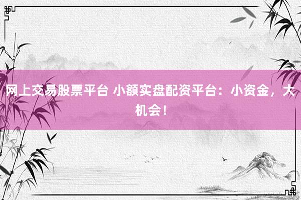 网上交易股票平台 小额实盘配资平台：小资金，大机会！