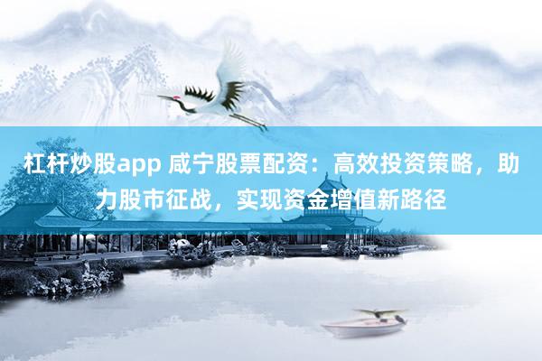 杠杆炒股app 咸宁股票配资：高效投资策略，助力股市征战，实现资金增值新路径