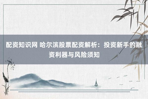 配资知识网 哈尔滨股票配资解析：投资新手的融资利器与风险须知