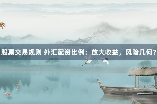 股票交易规则 外汇配资比例：放大收益，风险几何？