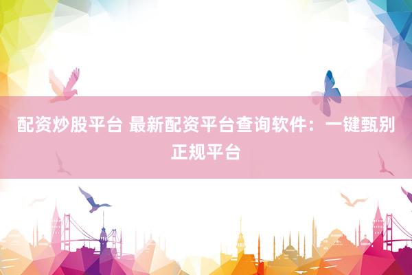 配资炒股平台 最新配资平台查询软件：一键甄别正规平台