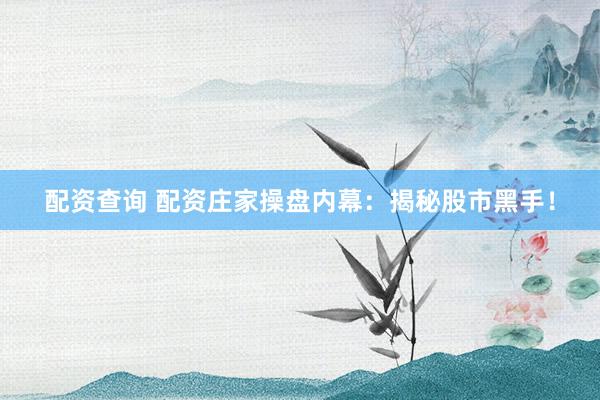 配资查询 配资庄家操盘内幕：揭秘股市黑手！