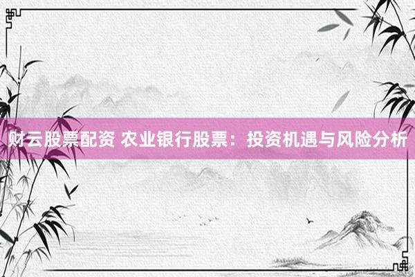 财云股票配资 农业银行股票：投资机遇与风险分析