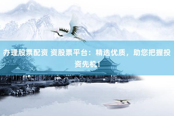 办理股票配资 资股票平台：精选优质，助您把握投资先机！