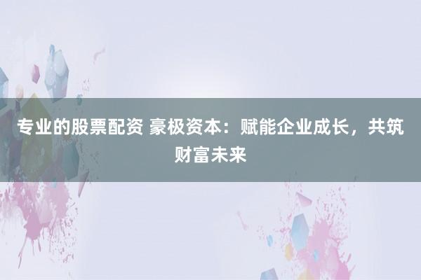 专业的股票配资 豪极资本:赋能企业成长,共筑财富未来