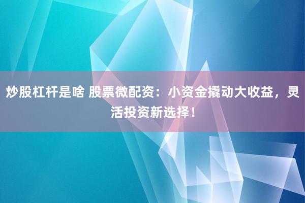 炒股杠杆是啥 股票微配资:小资金撬动大收益,灵活投资新选择!